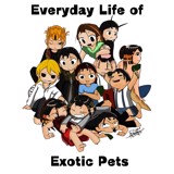 Everyday Life of Exotic Pets