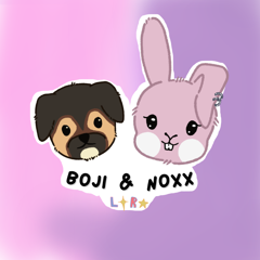 Boji & Noxx