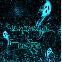 Black soul reaper  journey